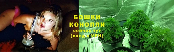 крисы Медногорск