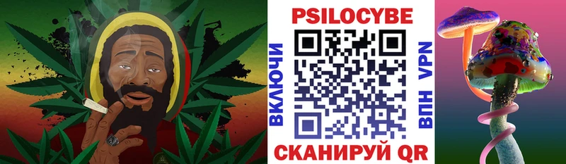 что такое   Чебаркуль  Псилоцибиновые грибы MAGIC MUSHROOMS 